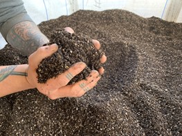 Hands in Soil