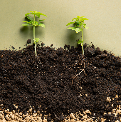 Natural Ways To Boost Soil Microbes