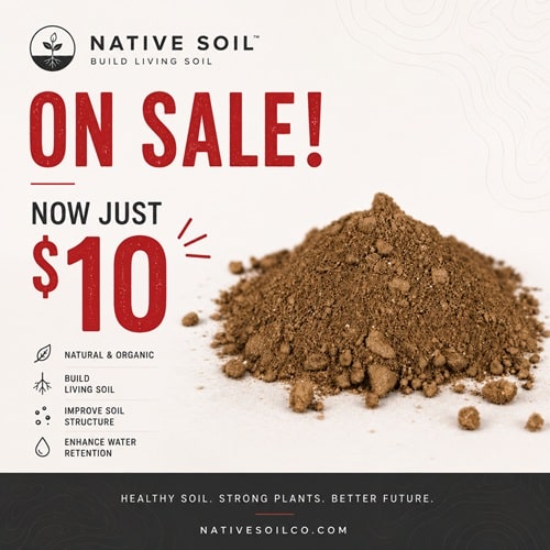 Native Soi- Brown-Rock-Phosphate - SALE