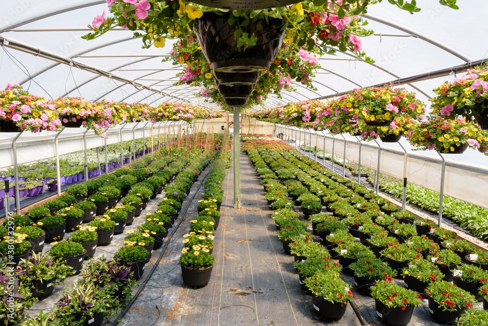 Native Soil helps prepare the soil for spring planting